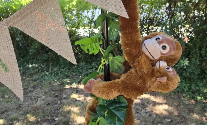 Décoration d'anniversaire d'un an sur le thème jungle à Audenge, Bassin d'Arcachon, Caprices de Candice